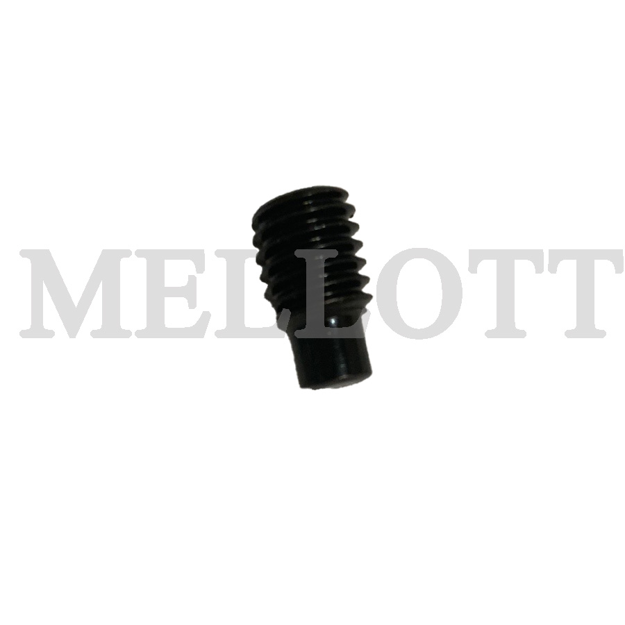 SetScr SC M10x25DP (2991675)