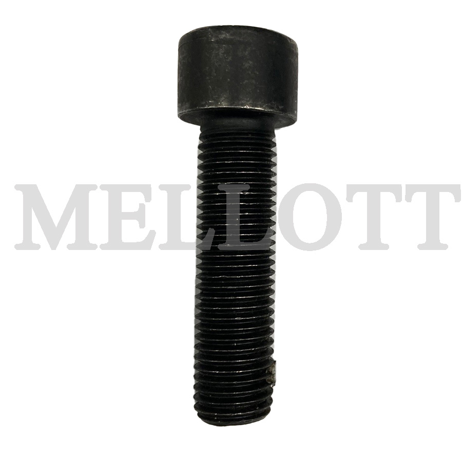 Capscrew M20 x 75 MM
