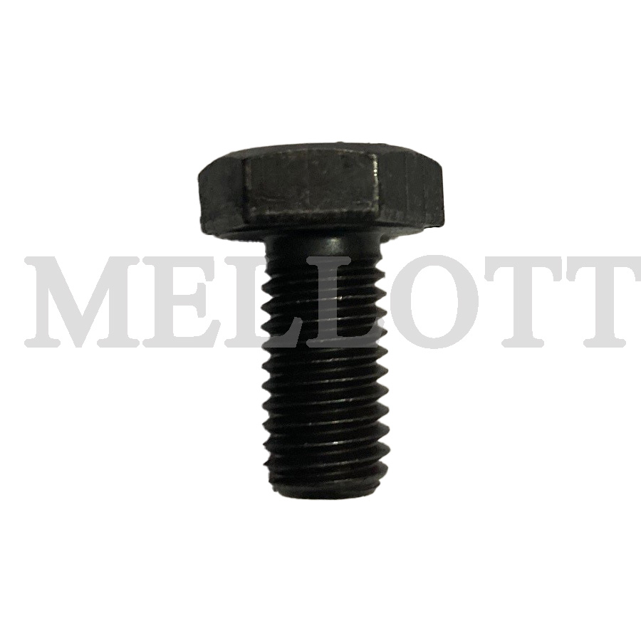 Capscrew Hx M10 x 20