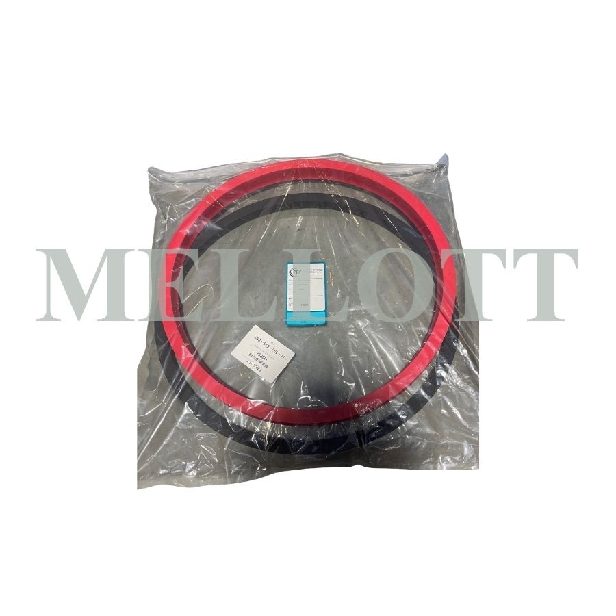 Seal,MPS,w/Filler,17-103-679-002,Metso