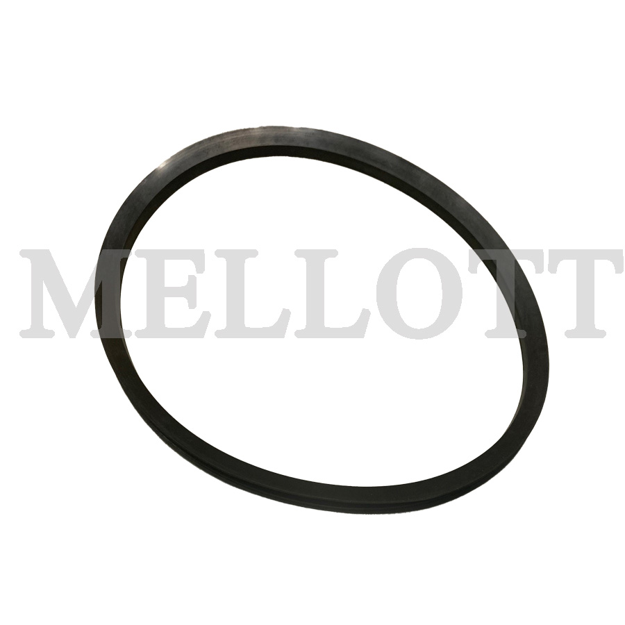 V-ring Seal