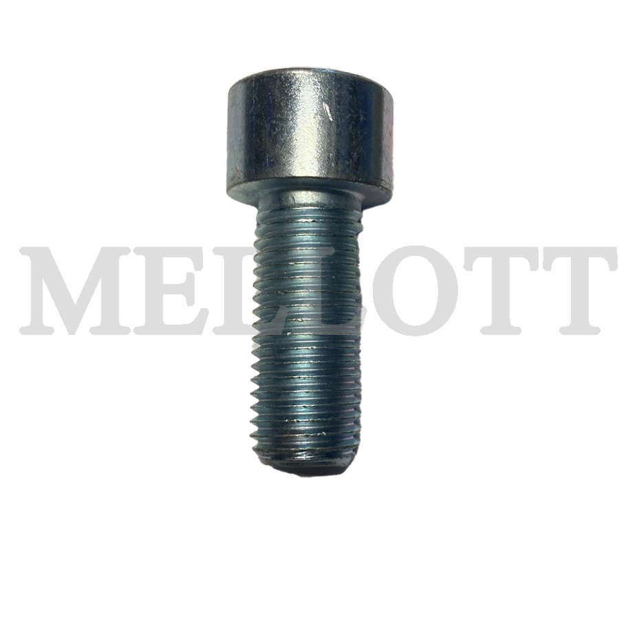 Socket Head Cap Screw