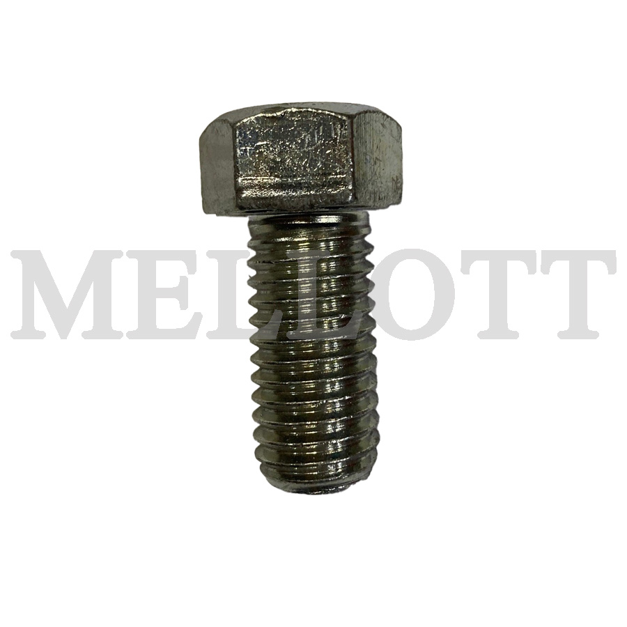 M6S 20X5 SCREW