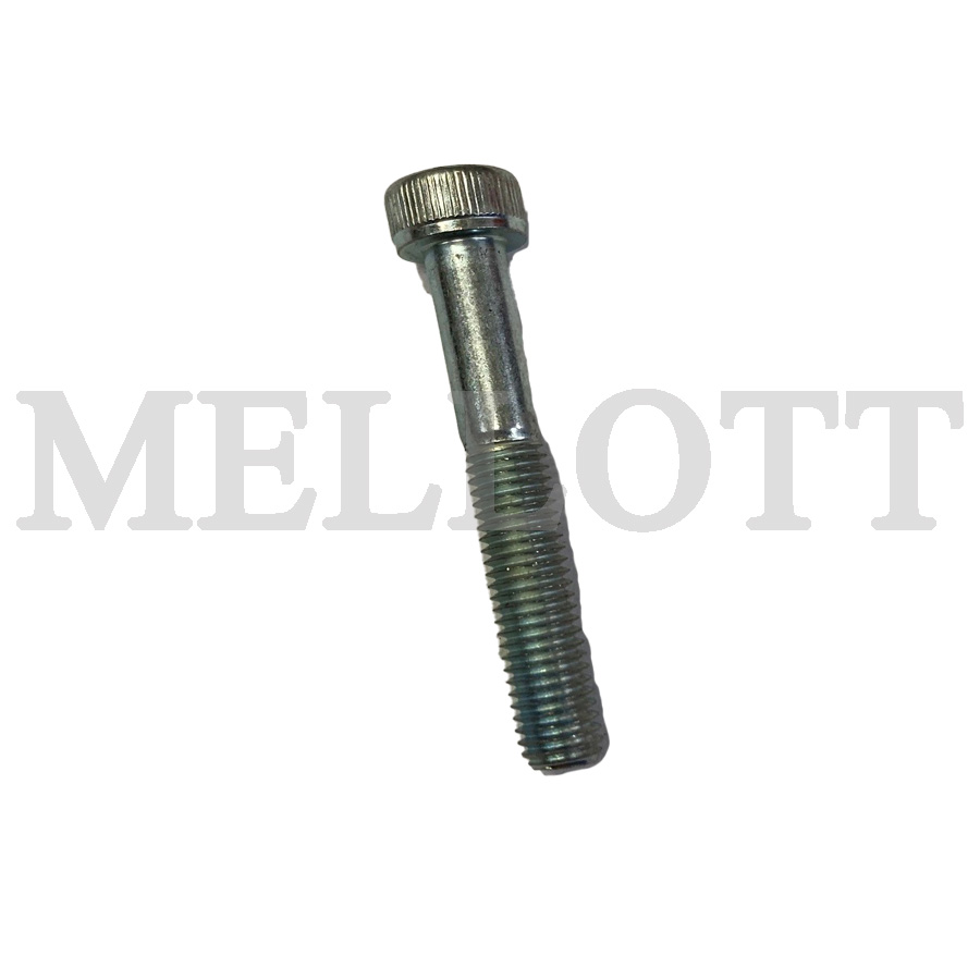 Screw, Socket Head M6x45 DIN912ZP