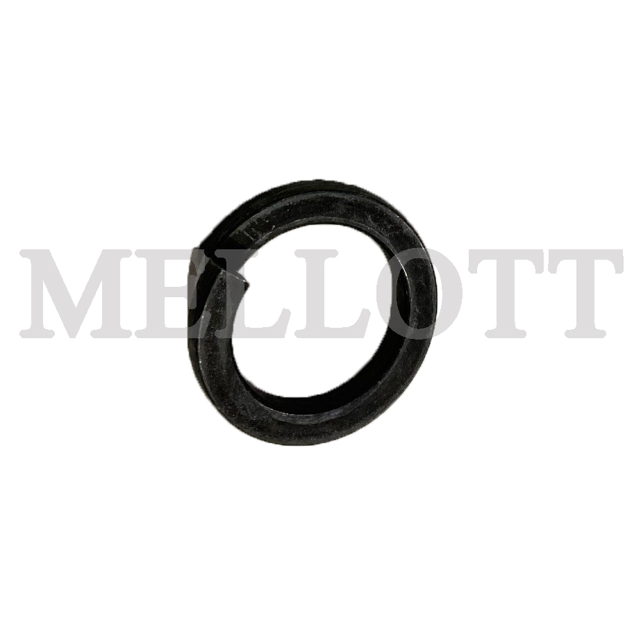 Washer Lock 1.000