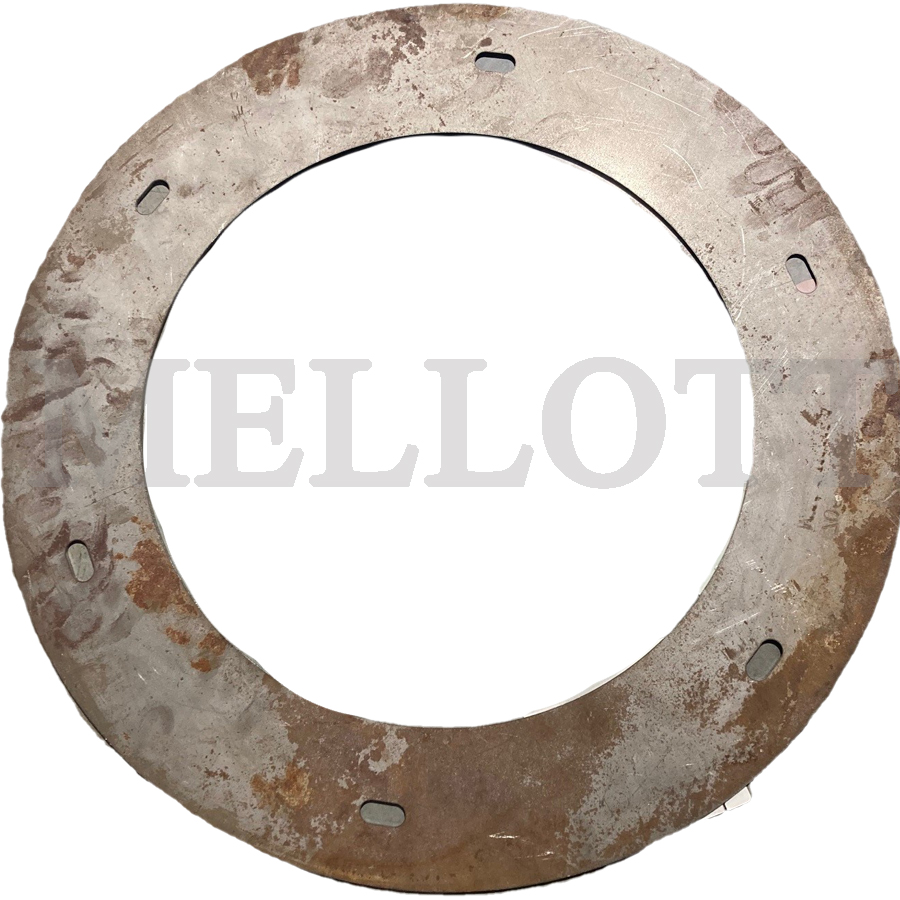 Thrust Bearing Shim 3.