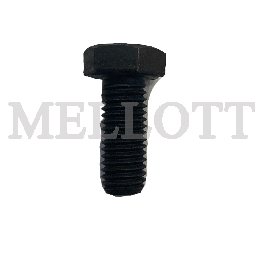 HHCS M12x30
