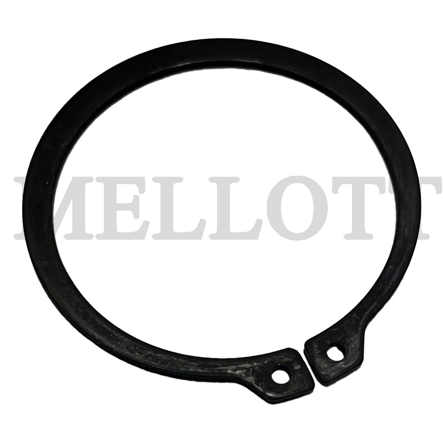 Security Ring (704101020000)