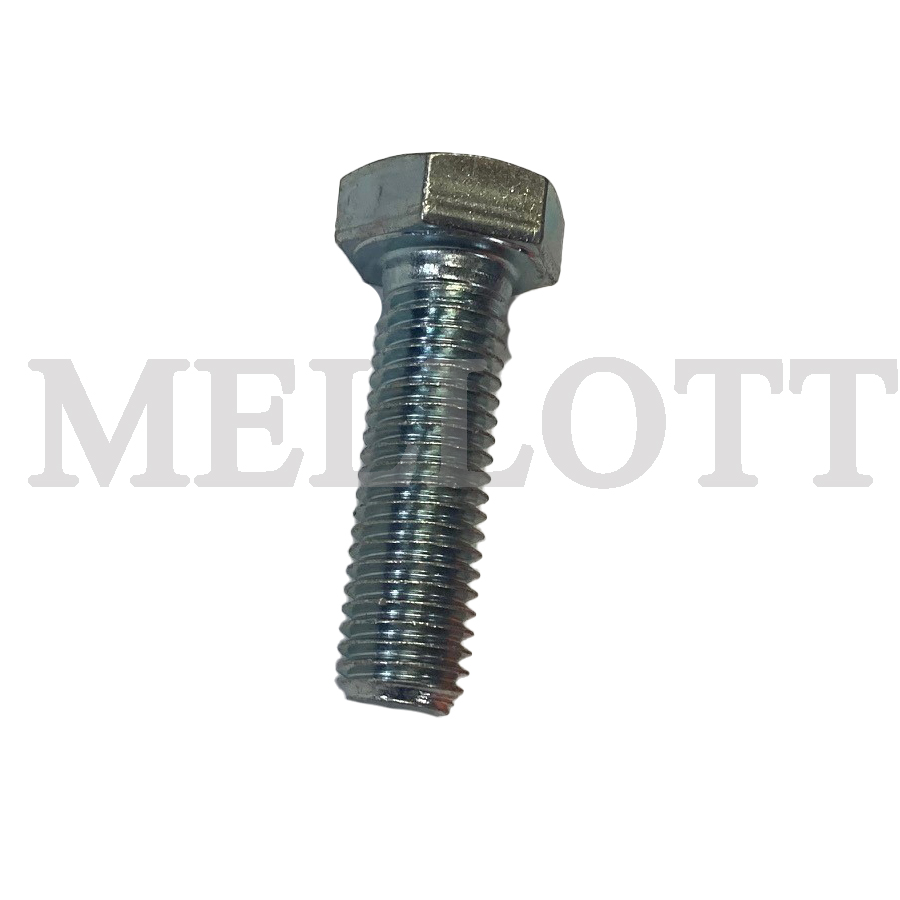 Hex Screw