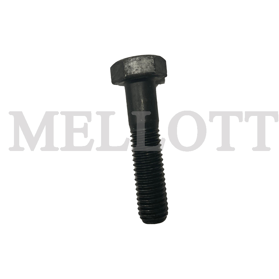 Hex Screw M12 x 50