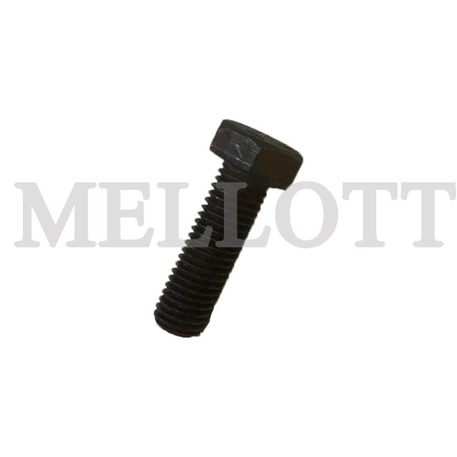 Hex Cap Screw M12 x 40mm