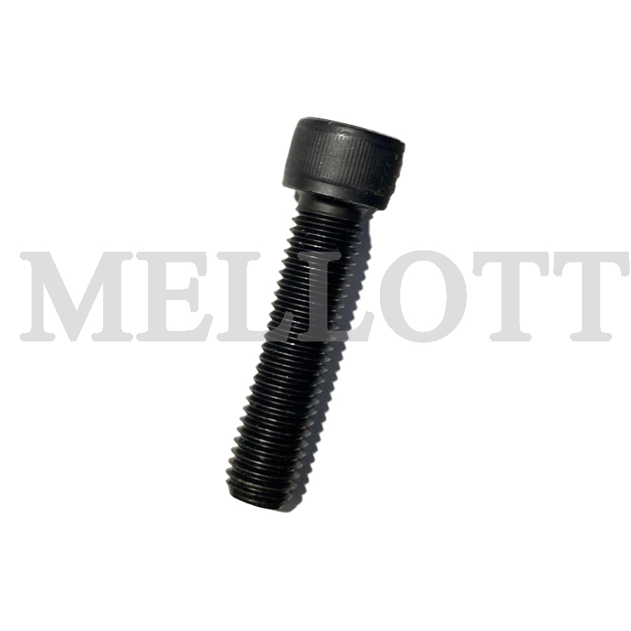 Hexsock Hdcap,M12x50-12.9