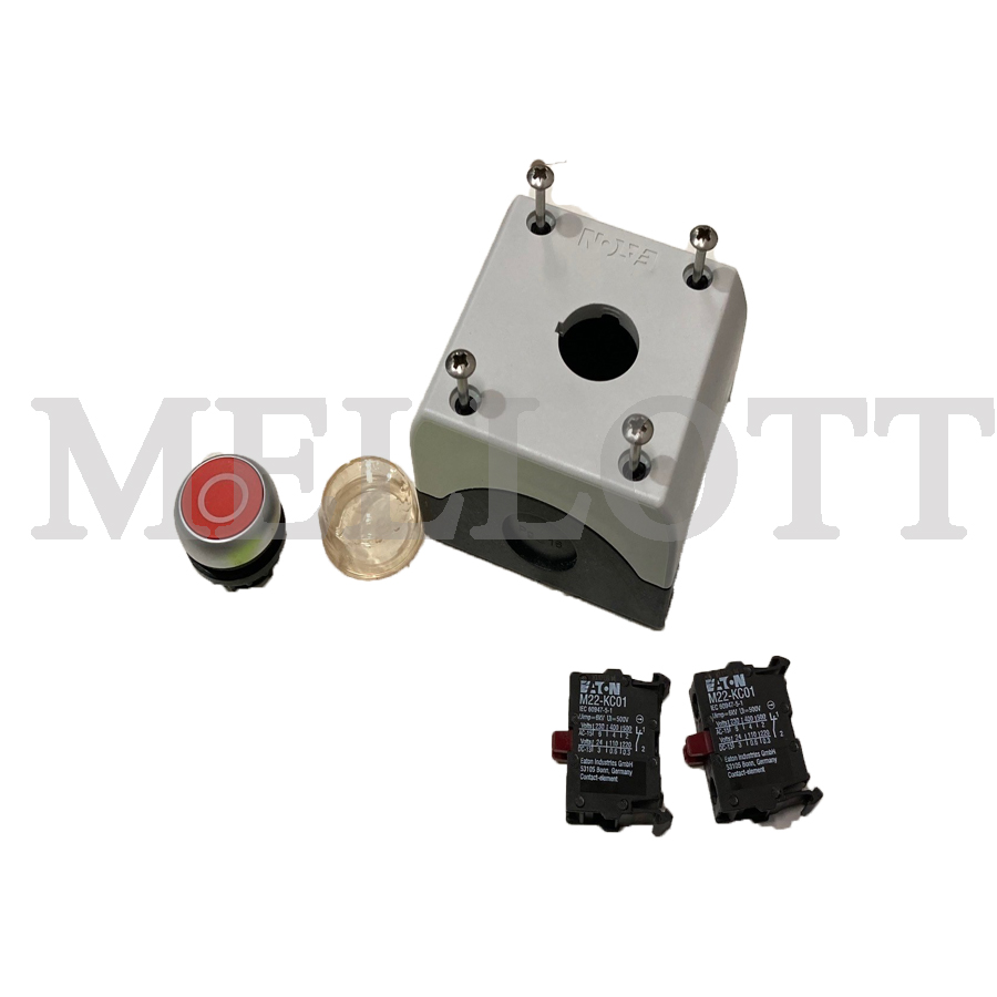 Button M22-D-G-X1/KC20/T-D