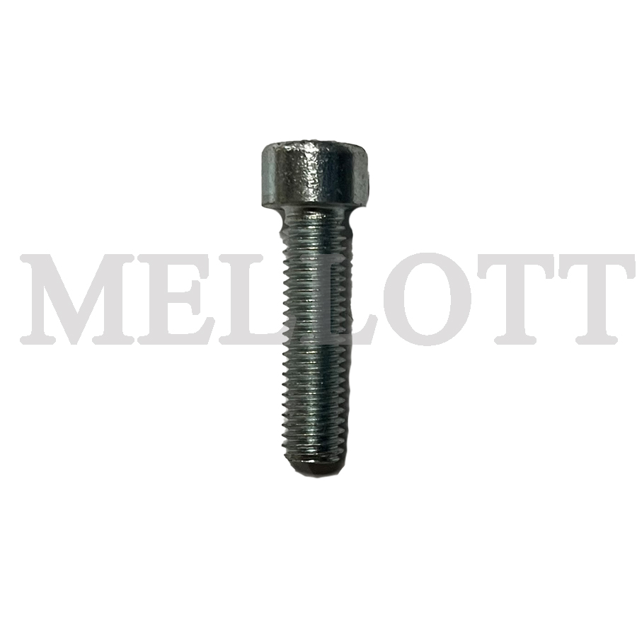 Cap Screw