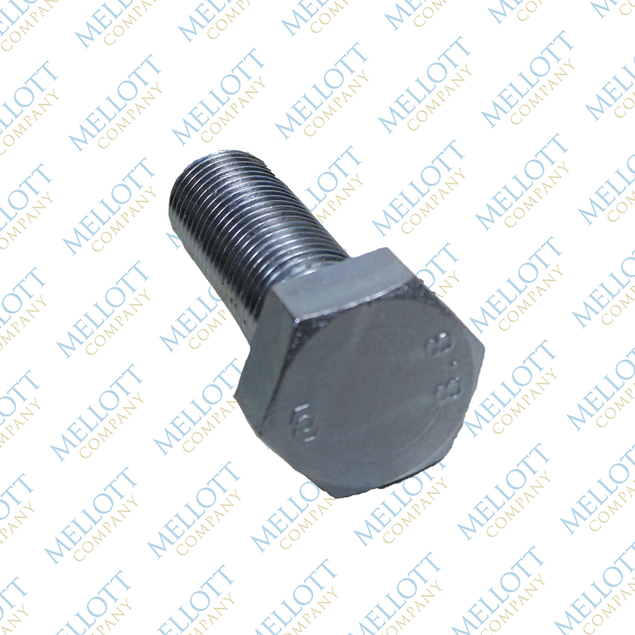 Wrench Bolt